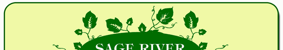 Sage River Family Massage, Maple Ridge, BC